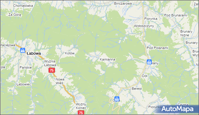 mapa Kamianna, Kamianna na mapie Targeo