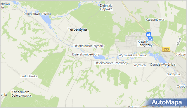 mapa Krzywie gmina Dzierzkowice, Krzywie gmina Dzierzkowice na mapie Targeo