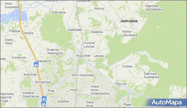 mapa Lesiów, Lesiów na mapie Targeo