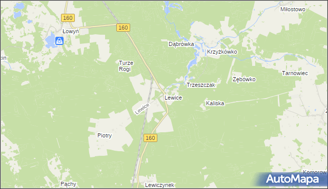 mapa Lewice gmina Międzychód, Lewice gmina Międzychód na mapie Targeo