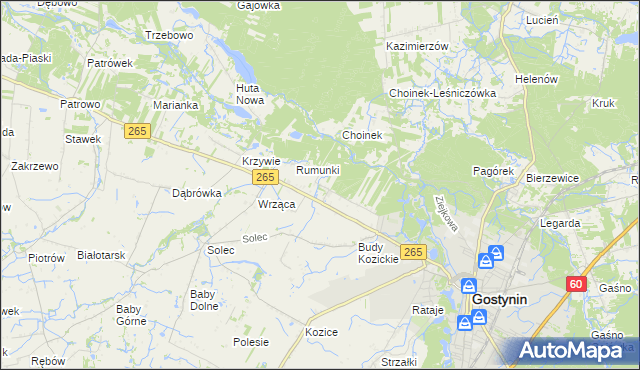 mapa Nagodów gmina Gostynin, Nagodów gmina Gostynin na mapie Targeo