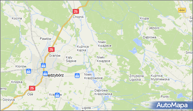 mapa Niwki Książęce gmina Międzybórz, Niwki Książęce gmina Międzybórz na mapie Targeo