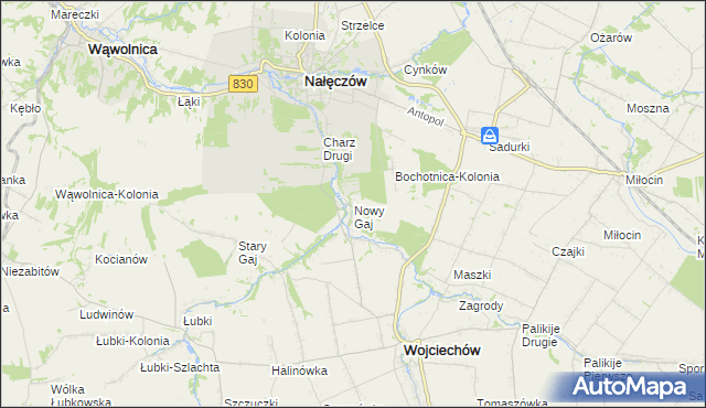 mapa Nowy Gaj gmina Wojciechów, Nowy Gaj gmina Wojciechów na mapie Targeo