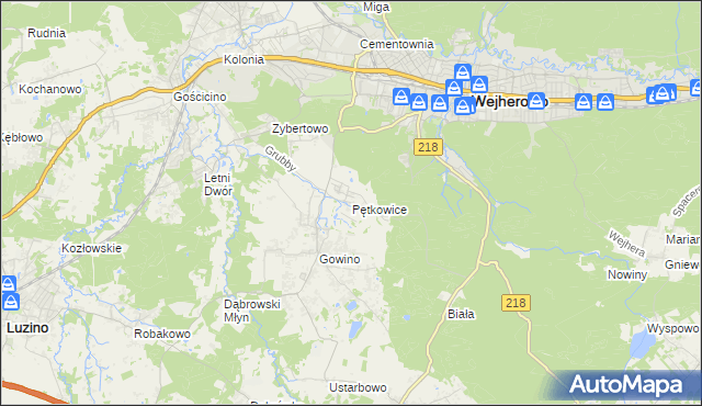 mapa Pętkowice gmina Wejherowo, Pętkowice gmina Wejherowo na mapie Targeo