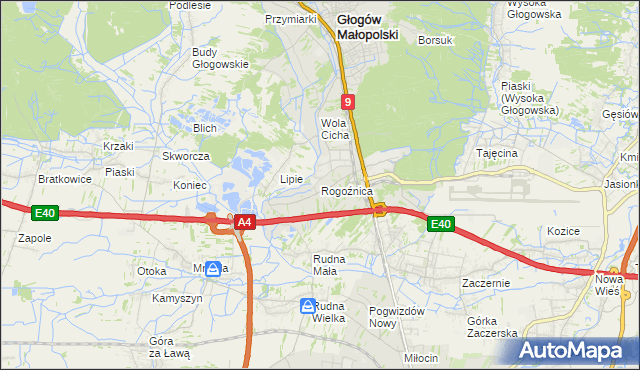 mapa Rogoźnica gmina Głogów Małopolski, Rogoźnica gmina Głogów Małopolski na mapie Targeo