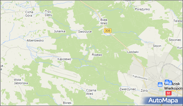 mapa Rojewo gmina Grodzisk Wielkopolski, Rojewo gmina Grodzisk Wielkopolski na mapie Targeo