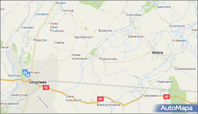 mapa Rozkochów gmina Walce, Rozkochów gmina Walce na mapie Targeo