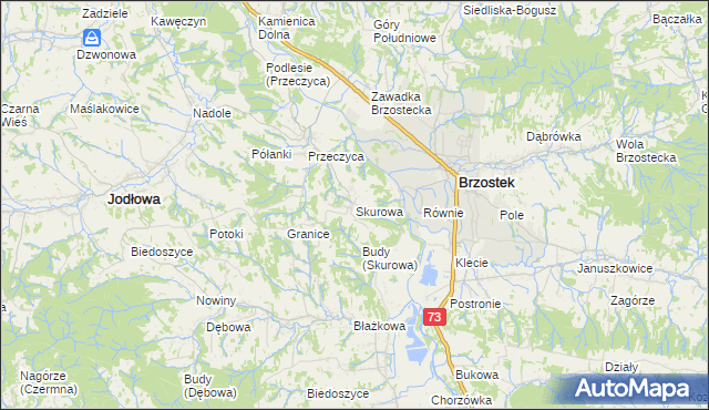 mapa Skurowa, Skurowa na mapie Targeo