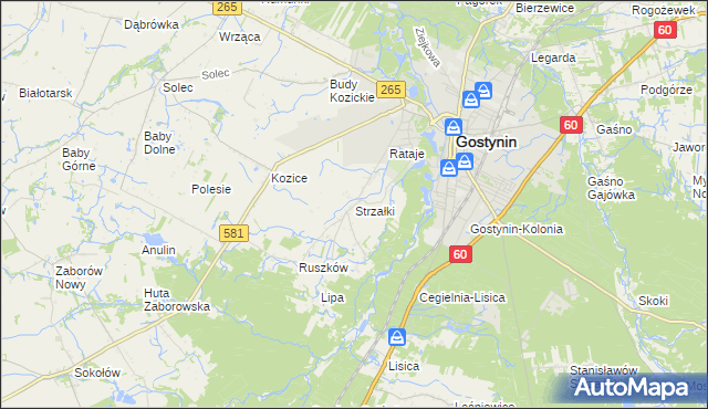 mapa Strzałki gmina Gostynin, Strzałki gmina Gostynin na mapie Targeo