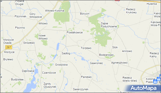 mapa Torzewo, Torzewo na mapie Targeo