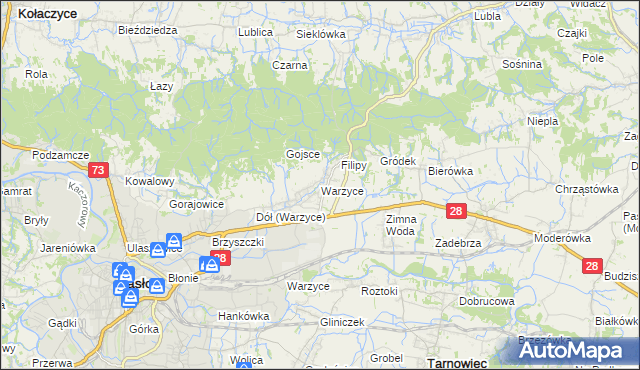 mapa Warzyce, Warzyce na mapie Targeo