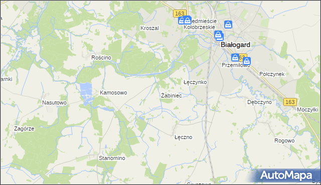 mapa Żabiniec gmina Białogard, Żabiniec gmina Białogard na mapie Targeo