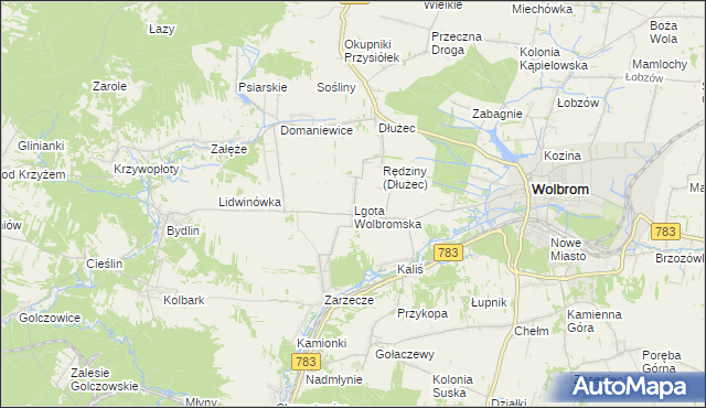 mapa Lgota Wolbromska, Lgota Wolbromska na mapie Targeo