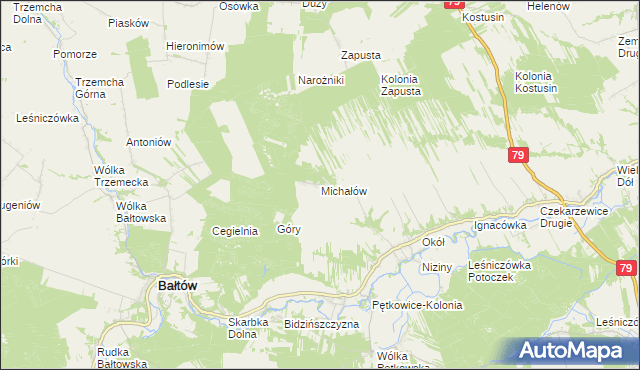 mapa Michałów gmina Bałtów, Michałów gmina Bałtów na mapie Targeo
