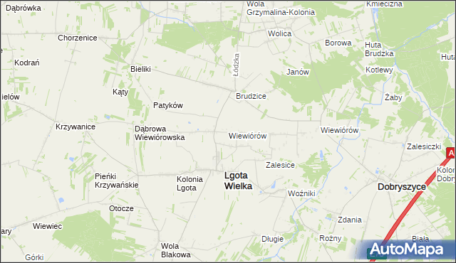 mapa Wiewiórów gmina Lgota Wielka, Wiewiórów gmina Lgota Wielka na mapie Targeo