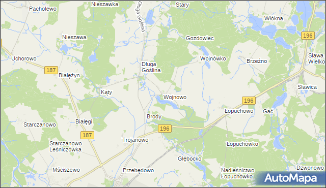 mapa Wojnowo gmina Murowana Goślina, Wojnowo gmina Murowana Goślina na mapie Targeo
