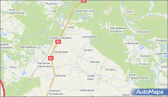 mapa Anielin gmina Gostynin, Anielin gmina Gostynin na mapie Targeo