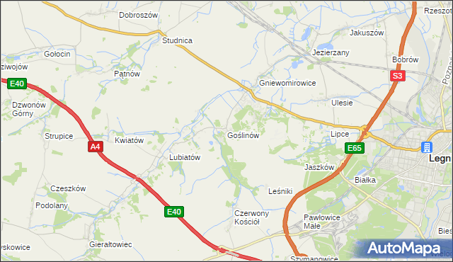 mapa Goślinów, Goślinów na mapie Targeo