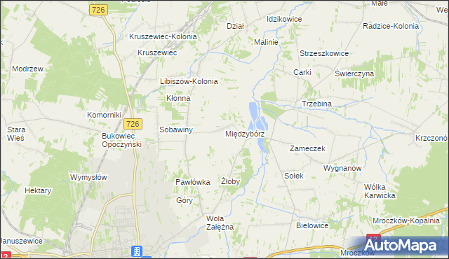 mapa Międzybórz gmina Opoczno, Międzybórz gmina Opoczno na mapie Targeo