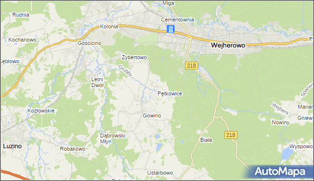 mapa Pętkowice gmina Wejherowo, Pętkowice gmina Wejherowo na mapie Targeo