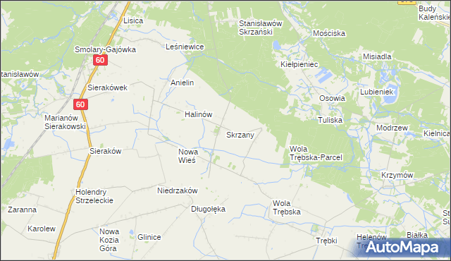 mapa Skrzany gmina Gostynin, Skrzany gmina Gostynin na mapie Targeo
