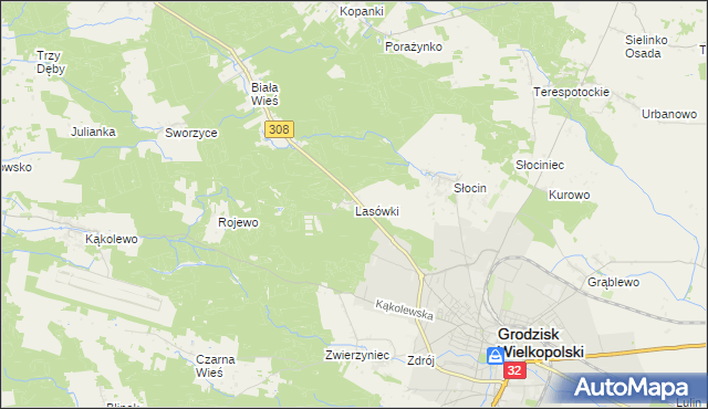 mapa Lasówki gmina Grodzisk Wielkopolski, Lasówki gmina Grodzisk Wielkopolski na mapie Targeo