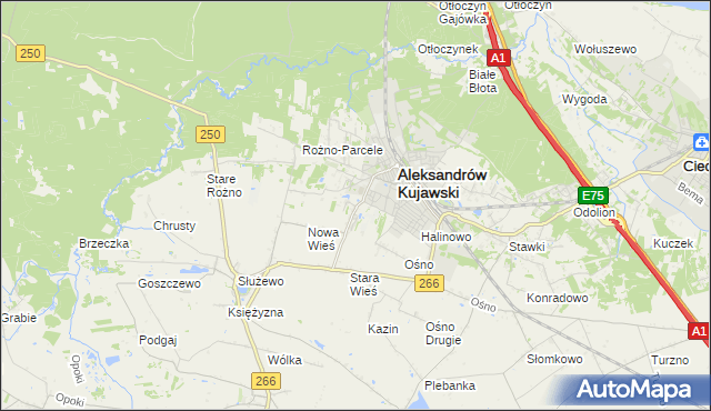 mapa Rudunki gmina Aleksandrów Kujawski, Rudunki gmina Aleksandrów Kujawski na mapie Targeo