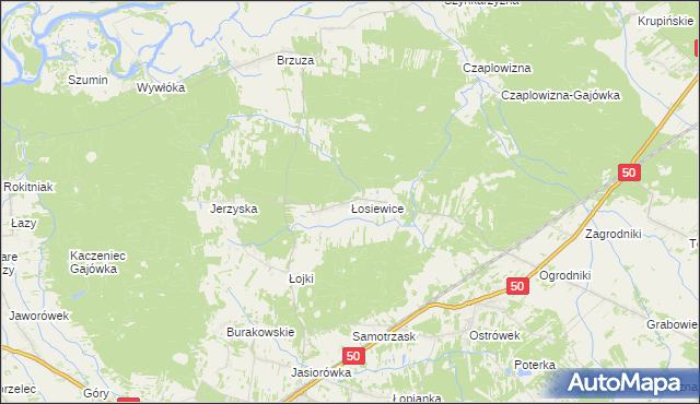 mapa Łosiewice, Łosiewice na mapie Targeo