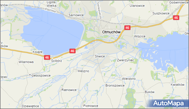 mapa Śliwice gmina Otmuchów, Śliwice gmina Otmuchów na mapie Targeo