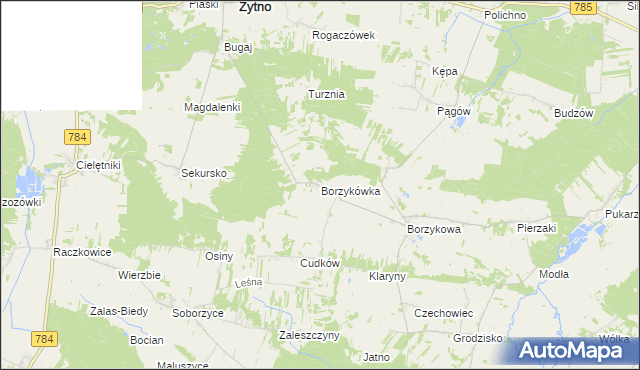 mapa Borzykówka, Borzykówka na mapie Targeo