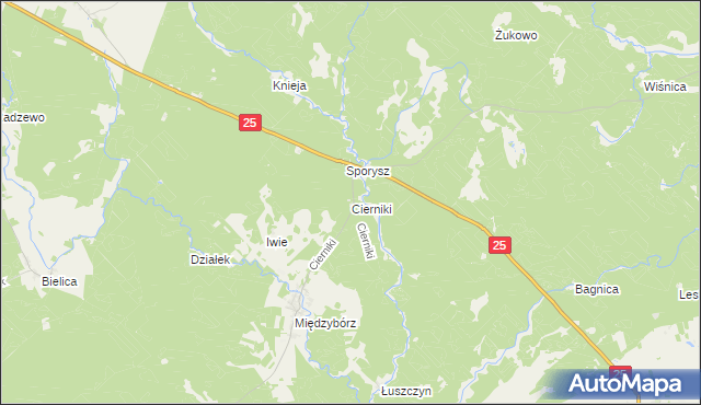 mapa Cierniki, Cierniki na mapie Targeo