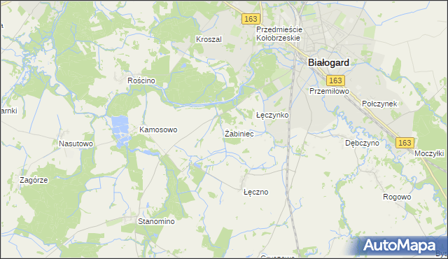 mapa Żabiniec gmina Białogard, Żabiniec gmina Białogard na mapie Targeo