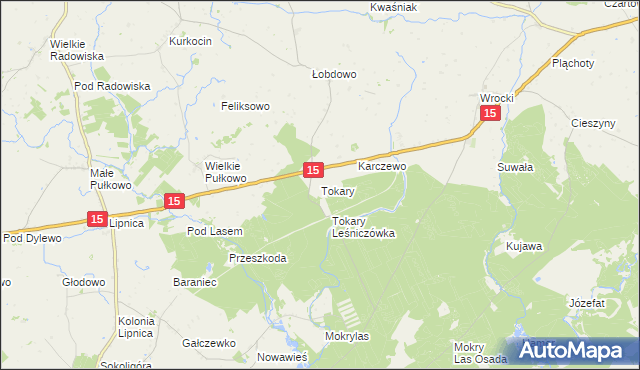 mapa Tokary gmina Golub-Dobrzyń, Tokary gmina Golub-Dobrzyń na mapie Targeo