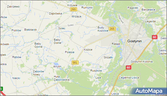 mapa Kozice gmina Gostynin, Kozice gmina Gostynin na mapie Targeo