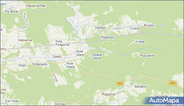 mapa Osada Leśna gmina Harasiuki, Osada Leśna gmina Harasiuki na mapie Targeo