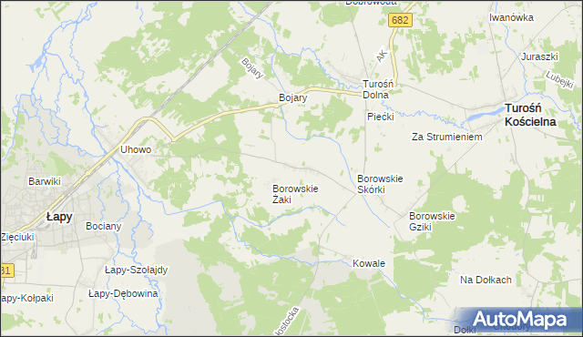 mapa Borowskie Cibory, Borowskie Cibory na mapie Targeo