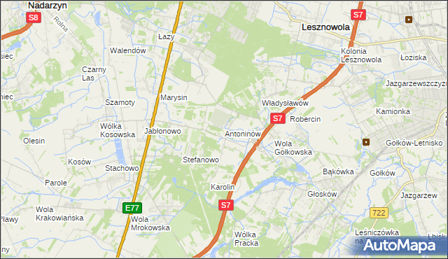 mapa Antoninów gmina Piaseczno, Antoninów gmina Piaseczno na mapie Targeo