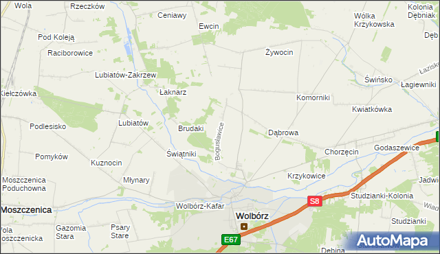 mapa Bogusławice gmina Wolbórz, Bogusławice gmina Wolbórz na mapie Targeo