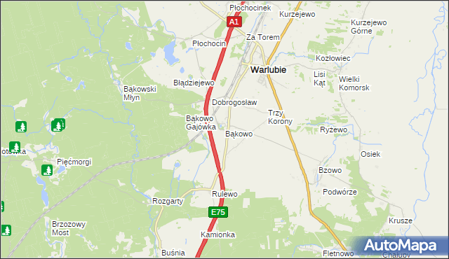 mapa Bąkowo gmina Warlubie, Bąkowo gmina Warlubie na mapie Targeo