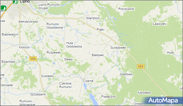 mapa Bałdowo gmina Wielgie, Bałdowo gmina Wielgie na mapie Targeo