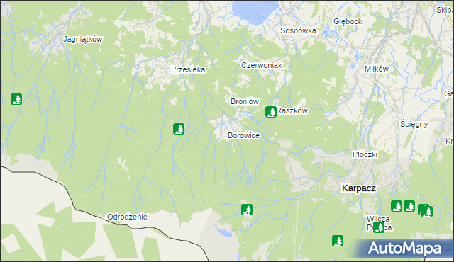 mapa Borowice gmina Podgórzyn, Borowice gmina Podgórzyn na mapie Targeo