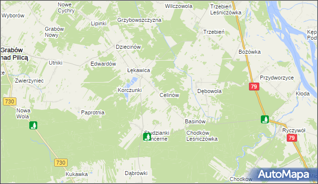 mapa Celinów gmina Grabów nad Pilicą, Celinów gmina Grabów nad Pilicą na mapie Targeo