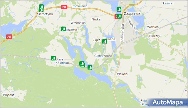 mapa Cichorzecze, Cichorzecze na mapie Targeo