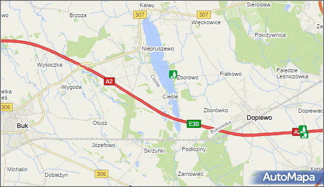 mapa Cieśle gmina Buk, Cieśle gmina Buk na mapie Targeo