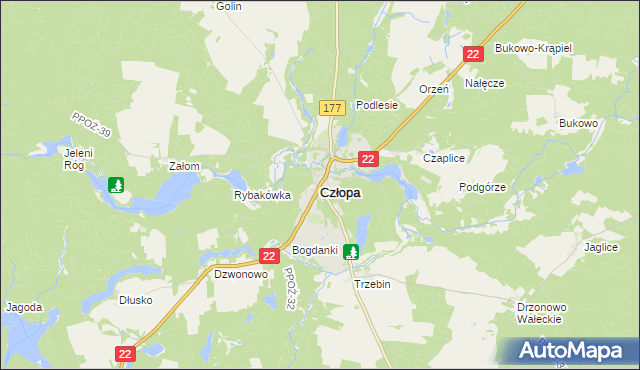 mapa Człopa, Człopa na mapie Targeo