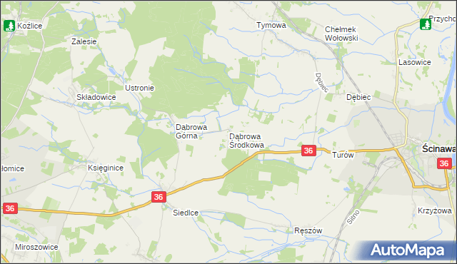 mapa Dąbrowa Środkowa, Dąbrowa Środkowa na mapie Targeo