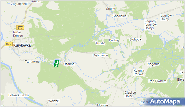 mapa Dąbrowica gmina Kuryłówka, Dąbrowica gmina Kuryłówka na mapie Targeo