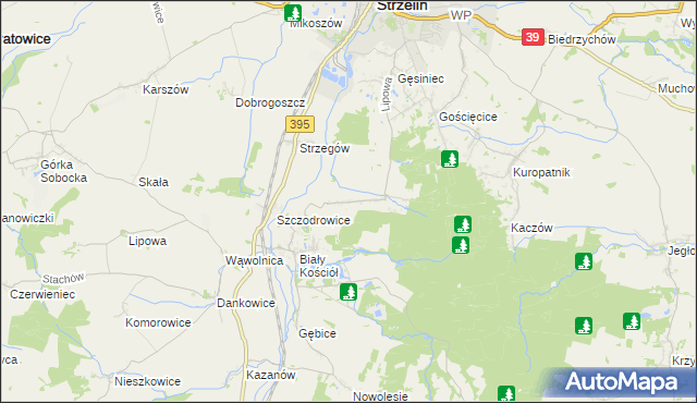 mapa Dębniki gmina Strzelin, Dębniki gmina Strzelin na mapie Targeo