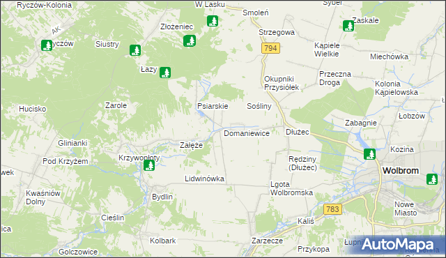 mapa Domaniewice gmina Wolbrom, Domaniewice gmina Wolbrom na mapie Targeo