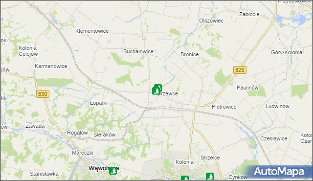 mapa Drzewce gmina Nałęczów, Drzewce gmina Nałęczów na mapie Targeo